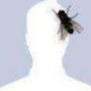 Meet your Posher, Marcus